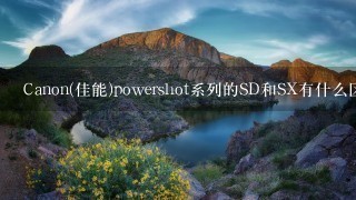 Canon(佳能)powershot系列的SD和SX有什么区别吗？
